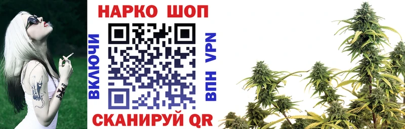 А ПВП Новозыбков