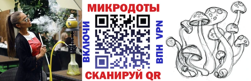 купить закладку  Новозыбков  Галлюциногенные грибы Psilocybe 