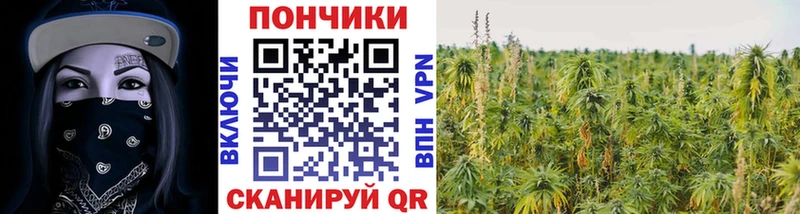 где найти   Новозыбков  Бошки марихуана AK-47 